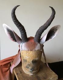 springbok costume